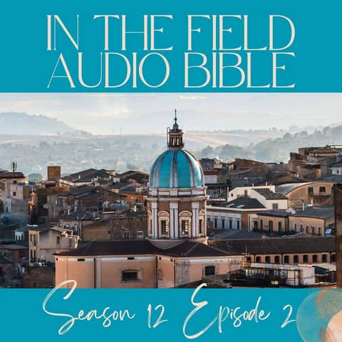 Discovering God's Promise and Peace in Haggai