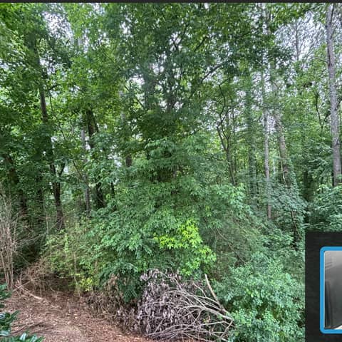 Like an unquenchable fire, hate consumes; Sow Love, GROW