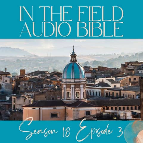 When the Fig Tree Doesn't Blossom: Habakkuk's Journey from Questions to Trust