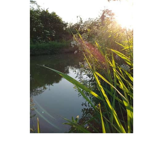 First Impressions (On canal life)