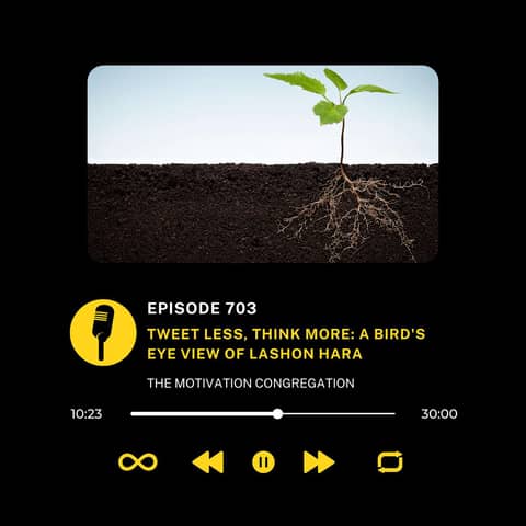 Tweet Less, Think More: A Bird's Eye View of Lashon Hara