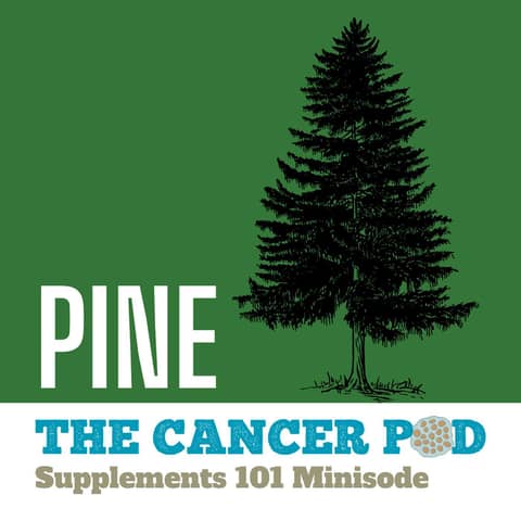 Pine: Is it Medicine?