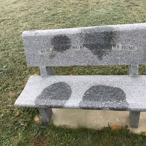 Oldish Book Club: Walking Each Other Home