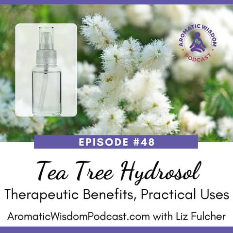 48: Tea Tree Hydrosol Therapeutic Benefits and Practical Uses