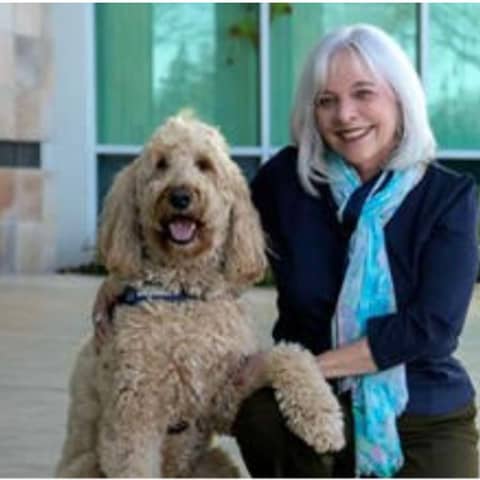 Using Creative Collaboration, The Family Justice Center Combats Domestic Violence, Human Trafficking and So Much More.