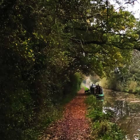 "Stretched into Tales that Leave a Mark"