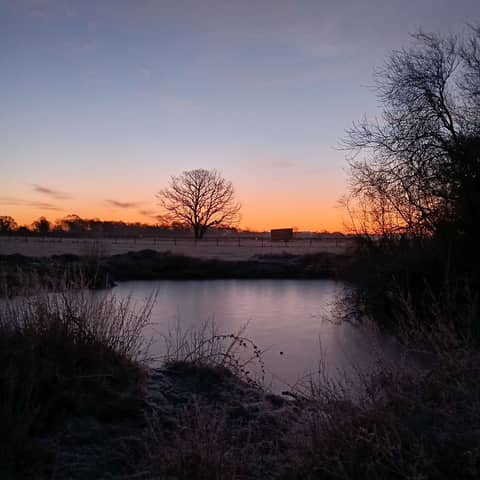 Orion Still Looks Down (On the land my shadow knows)