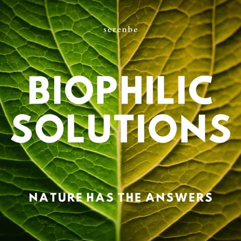 Introducing Season 5 of Biophilic Solutions