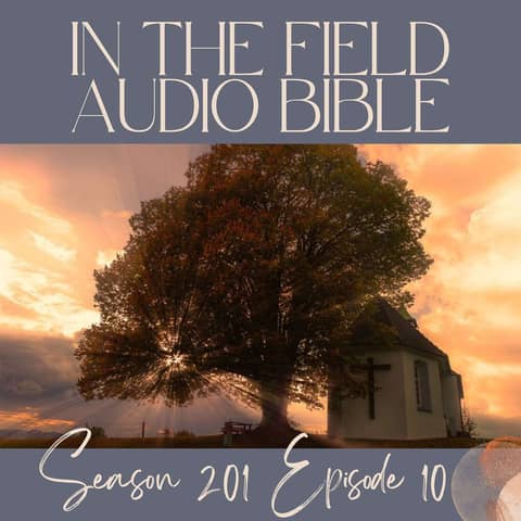 Ambassadors of Christ: Breaking Free from Earthly Limitations