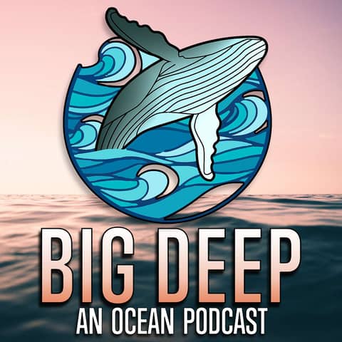 BIG DEEP - An Ocean Podcast