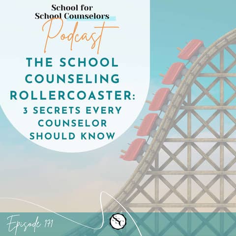 The School Counseling Rollercoaster: 3 Secrets Every Counselor Should Know