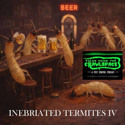 The Inebriated Termite Episode IV