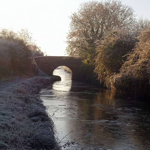 Wrapped in Freezing Fog