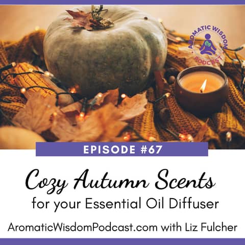 67: Essential Oils for Autumn - Ten Cozy Scents of the Season for your Diffuser!