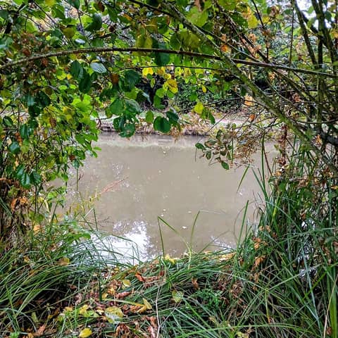 A Common Thread (Sunday at the moorings)