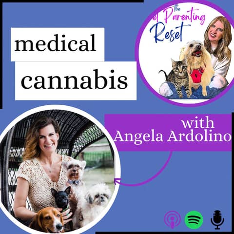 59. How To Help Your Dog When They're Sick (and When They're NOT!)