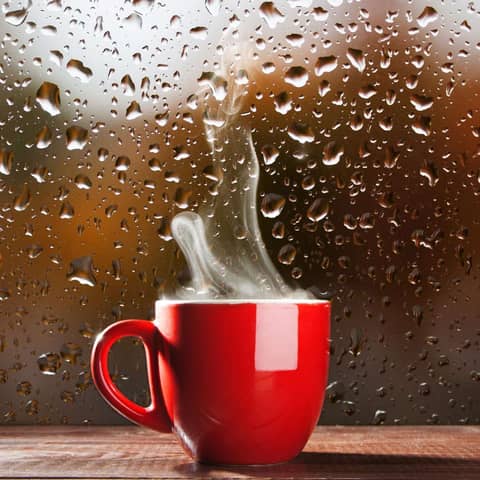 8 Hours Rain Sounds For Sleep & Study + 432Hz Miracle Tone