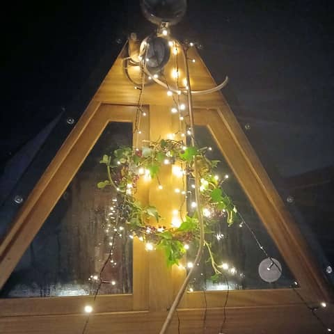 The Remarkable Tale of Bertrum Crane (A story for Christmas)