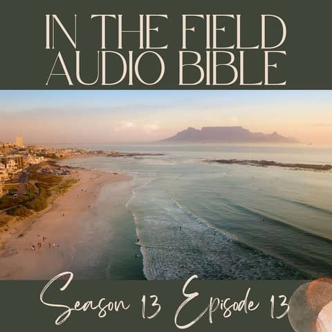 Desperately Holding On: Beautiful Truths for Difficult Seasons