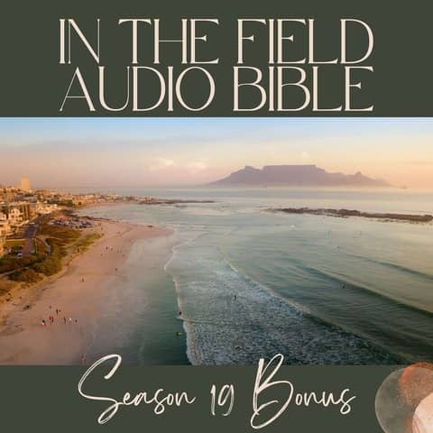 Bound Yet Soaring: Paul's Letter to Ephesus