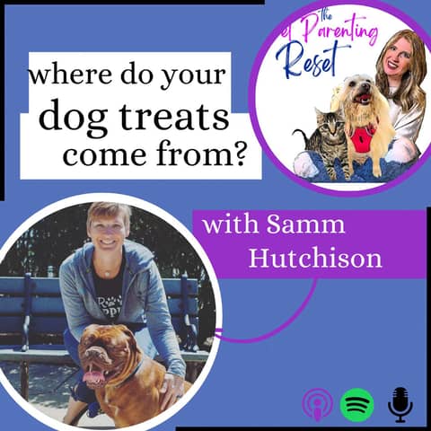 66. Where Do Your Dog Treats Come From?