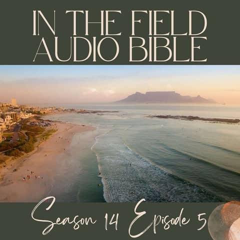 Tears of Joy: Finding Freedom in Surrender