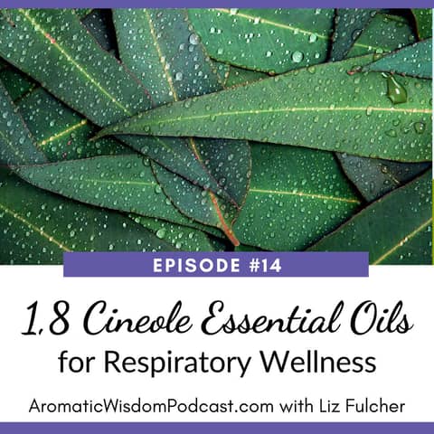 14: 1,8 Cineole Essential Oils for Respiratory Health