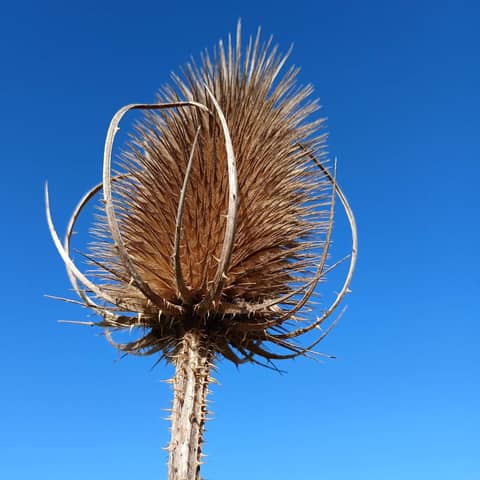 The Changes that Come