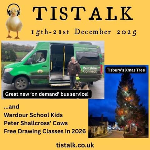 15th-21st December 2025: New Buses, Christmas Tree, Wardour School Children, Free Messums Art Classes