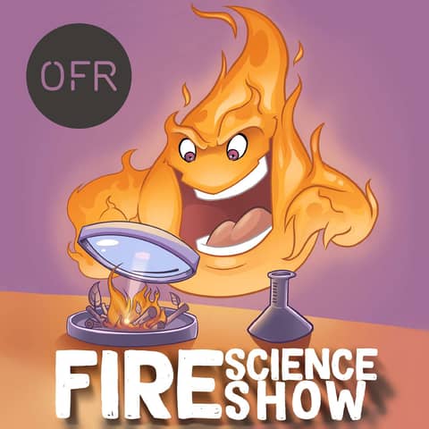015 - Global view on the fire safety from a starchitect perpective with Benjamin Ralph