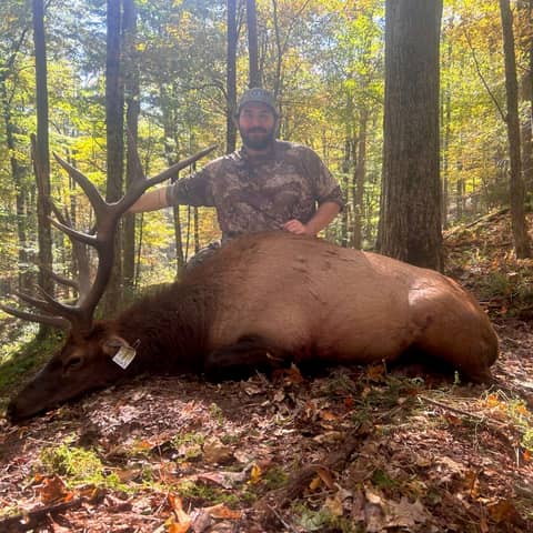 Beginners luck a new archers story