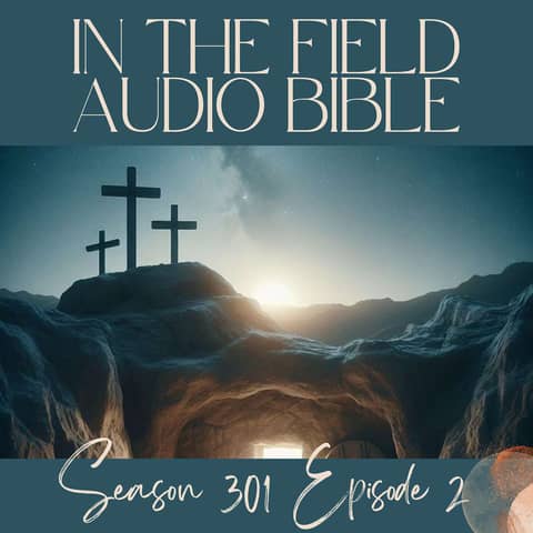 The Lamb Surrenders: Jesus’ Arrest at Gethsemane