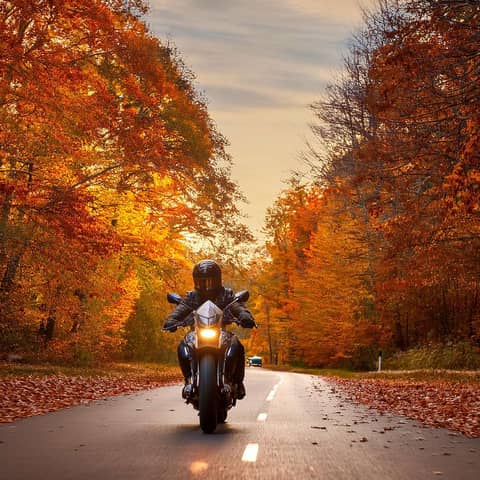 Winter Motorcycle Care: Put them away or leave them out to play?