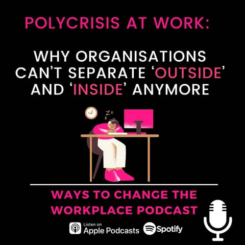 154. The Polycrisis at Work: Why Organisations Can’t Separate ‘Outside’ and ‘Inside’ Anymore