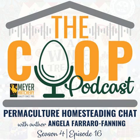 Permaculture Homesteading Chat with author Angela Farraro-Fanning