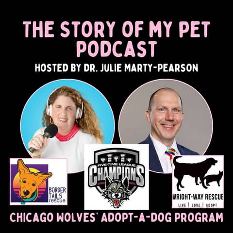 From Rink to Rescue: How the Chicago Wolves Dog Adoption Program Score Big for Rescue Dogs