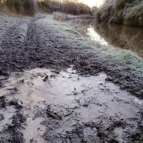 Into the Silence (The Undreaming)