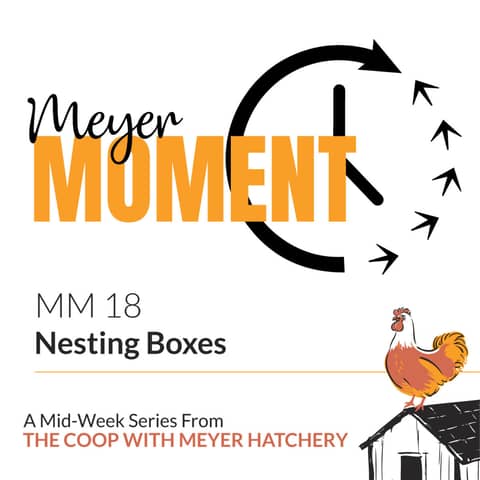 Meyer Moment: Nesting Boxes