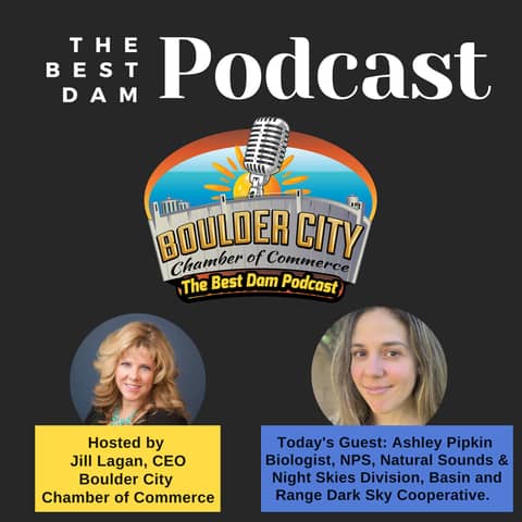 Ashley Pipkin, Biologist with the National Park Service, Natural Sounds and Night Skies Division, and the Basin and Range Dark Sky Cooperative.