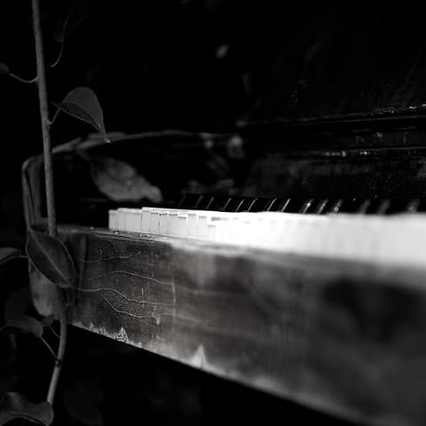 Key of F Major Melodic Workout