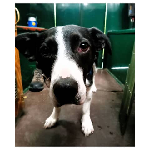 Afloat with Maggie (Listeners' questions - 5)