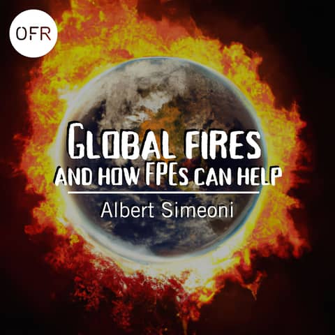 117 - Global wildfire emergency and the key role of FSEs with Albert Simeoni