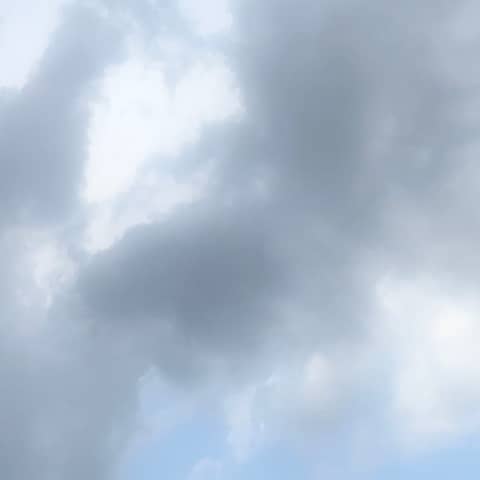 April Fool's?  Be a Fool for God; Sow Love as You GROW