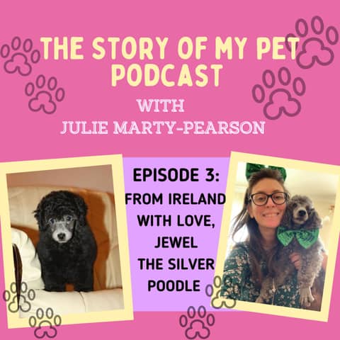 From Ireland with Love, Jewel the Silver Poodle