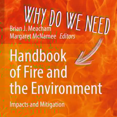 063 - Why do we need a handbook of fire and the environment with Brian Meacham and Margaret McNamee