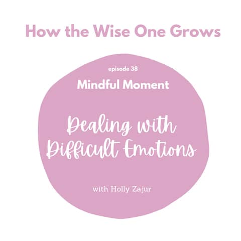 Mindful Moment: Dealing with Difficult Emotions (38)