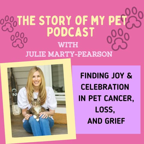 Finding Joy and Celebration in Pet Cancer, Loss, and Grief