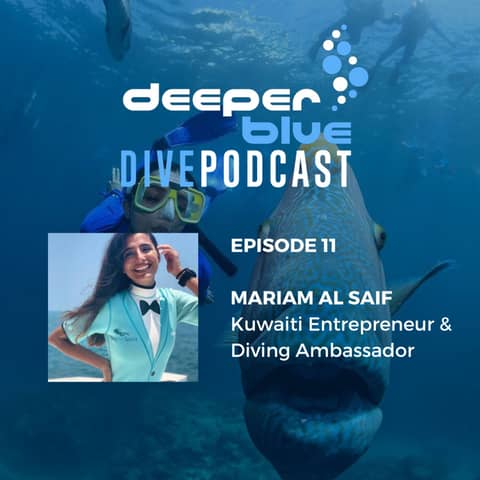 Fake Scuba World Records, When Bikinis Become Illegal & How To Exit A Boat Gracefully