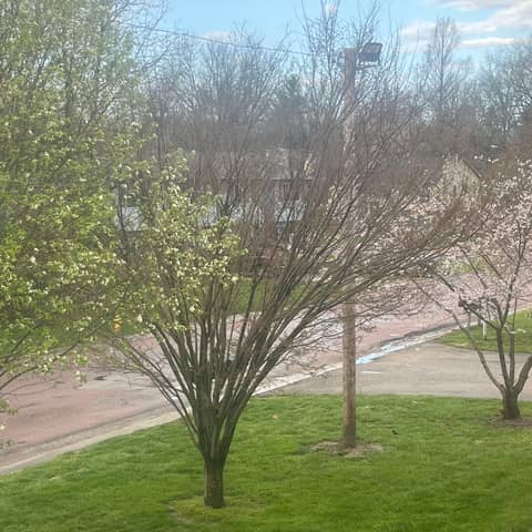 Another Day for you and me in Paradise is not that for Someone else: Sow Love, GROW