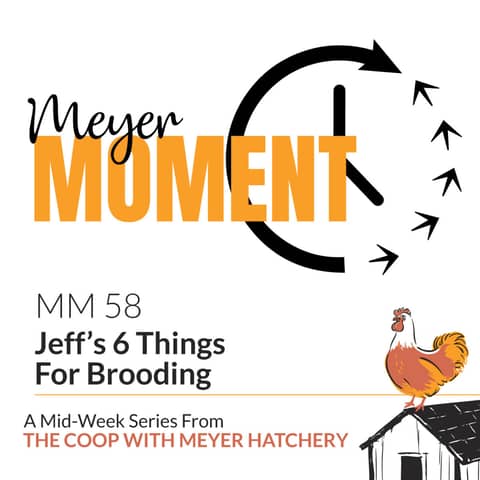 Meyer Moment: Jeff's 6 Things For Brooding